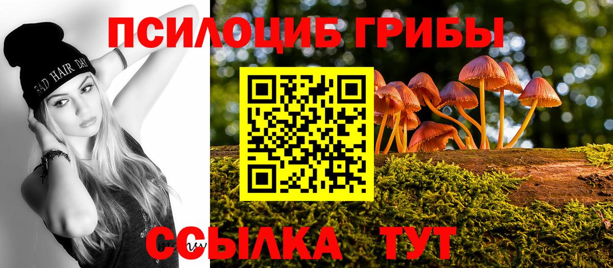 Псилоцибиновые грибы Magic Shrooms  Вход с VPN  Псилоцибиновые грибы Psilocybe  Мыски 